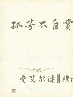 孤芳不自赏小说