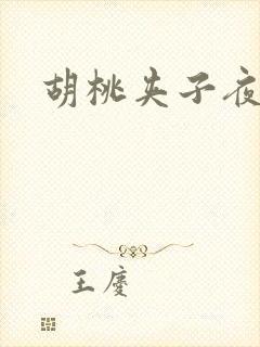 胡桃夹子夜未眠封面