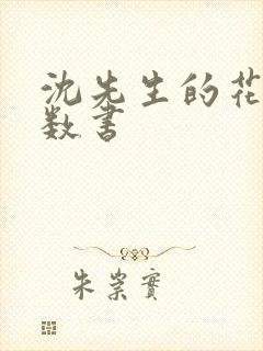沈先生的花式调数书