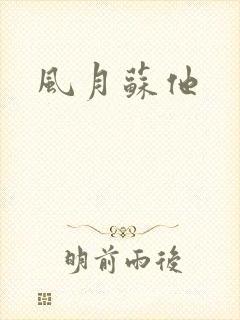 风月苏他