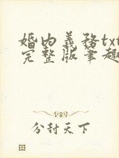 婚内义务txt完整版笔趣阁封面