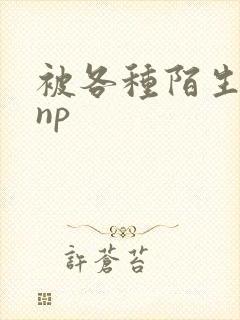 被各种陌生人 np