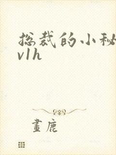 总裁的小秘书1v1h