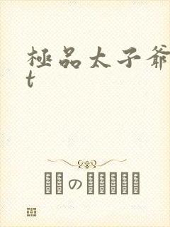 极品太子爷txt