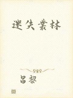 迷失丛林