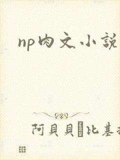 np肉文小说