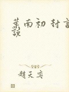 叶南初 封言小说