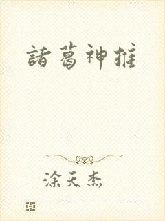 诸葛神推封面