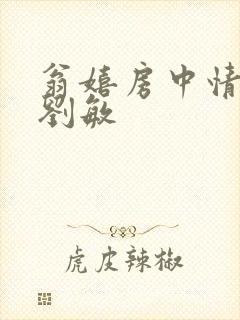 翁嬉房中情意浓刘敏封面