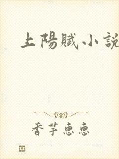 上阳赋小说