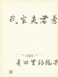 我家夫君惹不起