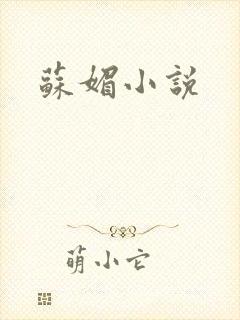 苏媚小说