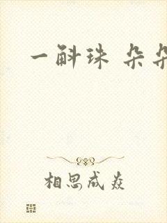 一斛珠 朵朵舞封面