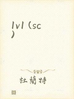 1v1 (sc)