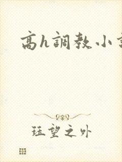 高h调教小说
