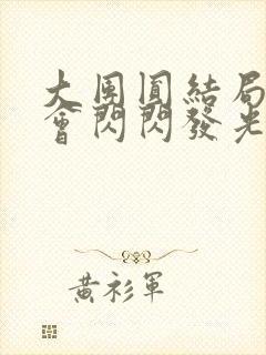 大团圆结局亲情会闪闪发光封面