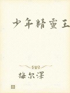 少年精灵王