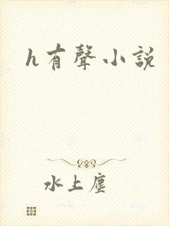 h有声小说