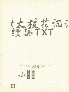 t大校花沉浮录续集TXT封面