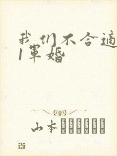 我们不合适1v1军婚