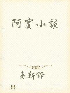 阿宾小说