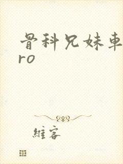 骨科兄妹车多pro