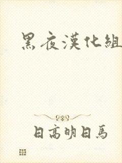 黑夜汉化组