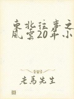 东北往事之黑道风云20年小说