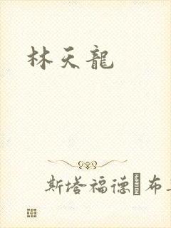 林天龙封面