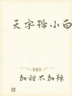 天字号小白脸封面