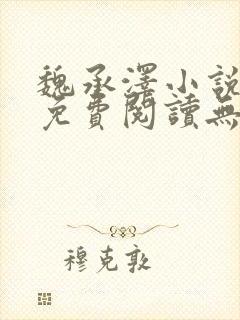 魏承泽小说全文免费阅读无弹窗笔趣