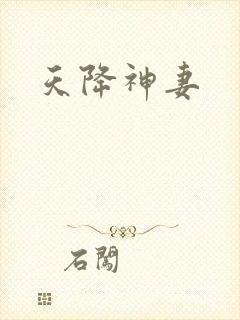 天降神妻