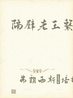 隔壁老王系统