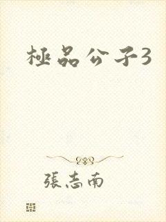 极品公子3