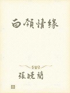 白领情缘封面