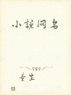 小说网名