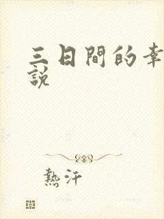 三日间的幸福小说封面