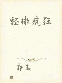 轻微疯狂封面