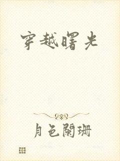 穿越曙光封面