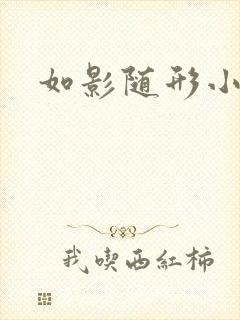 如影随形小说