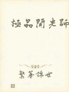 极品开光师