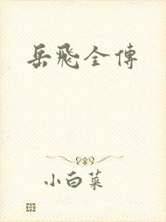 岳飞全传