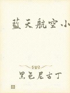 蓝天航空小说