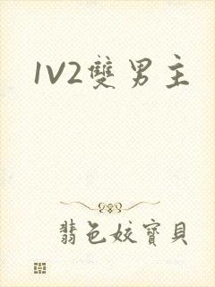 1V2双男主
