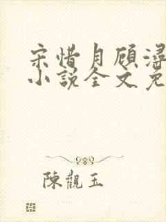 宋惜月顾浔渊的小说全文免费阅读