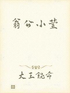 翁公小莹