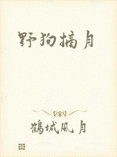 野狗摘月