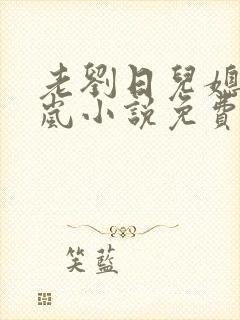 老刘日儿媳妇张岚小说免费阅读