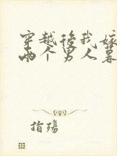 穿越后我嫁给了两个男人暮色酒歌