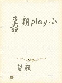 孕期play小说